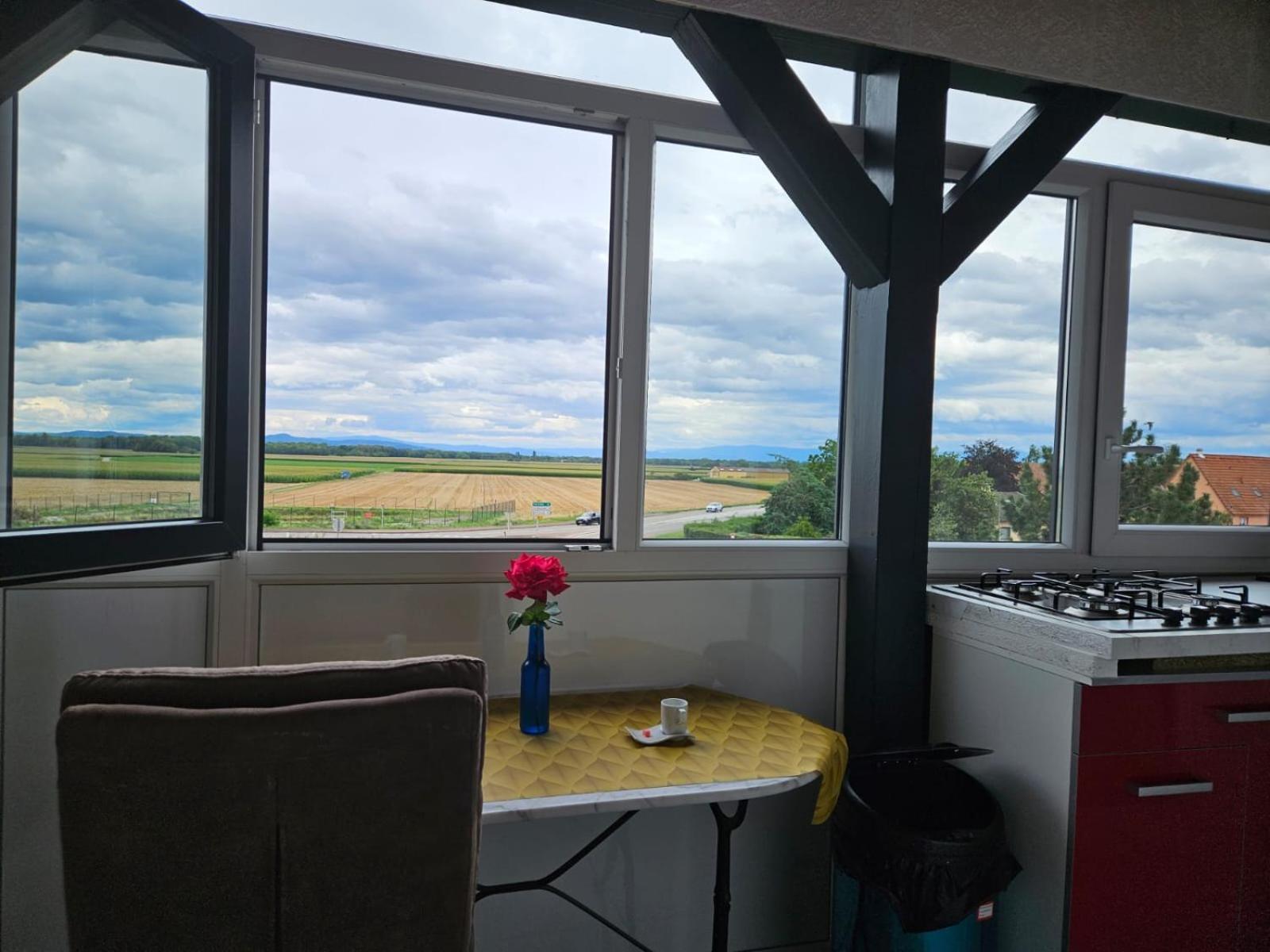 Les Cigognes De Andolsheim Apartment Luaran gambar