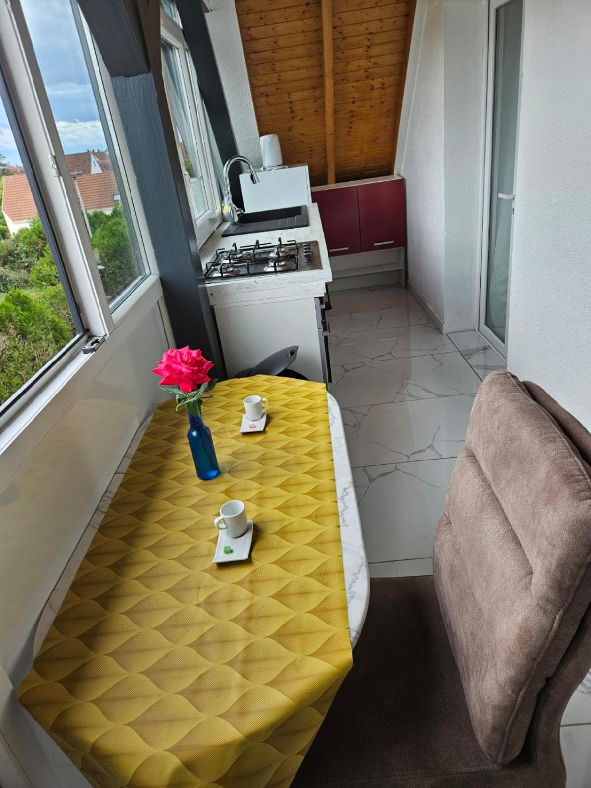 Les Cigognes De Andolsheim Apartment Luaran gambar